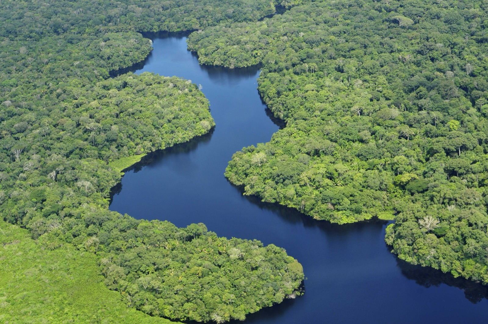 Vista aérea de la selva amazónica y uno de sus ríos cerca de Manaos, capital del estado brasileño de Amazonas.
