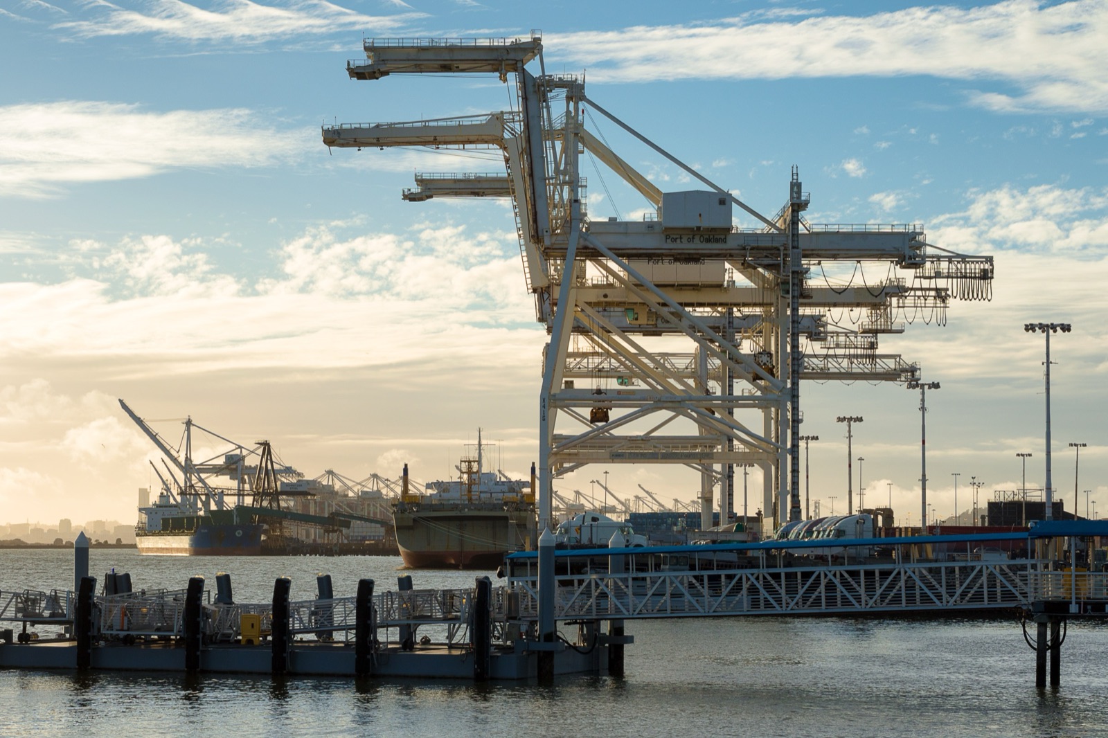 Grúas de la terminal de contenedores de Oakland, California, uno de los puertos estadounidenses donde hubo acciones.
