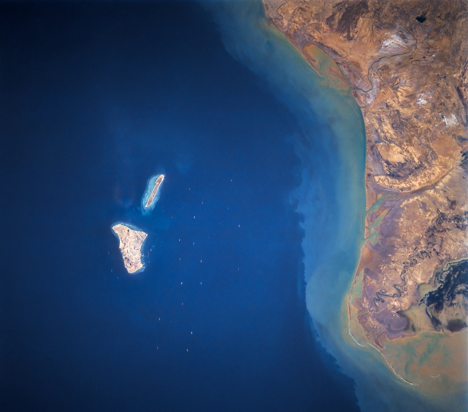 La isla de Jarg, en el golfo Pérsico, vista desde el espacio.