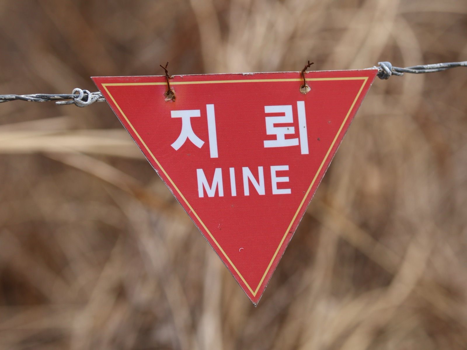 Señal de advertencia de minas terrestres cerca de la zona desmilitarizada que divide la península de Corea (abril de 2025).
