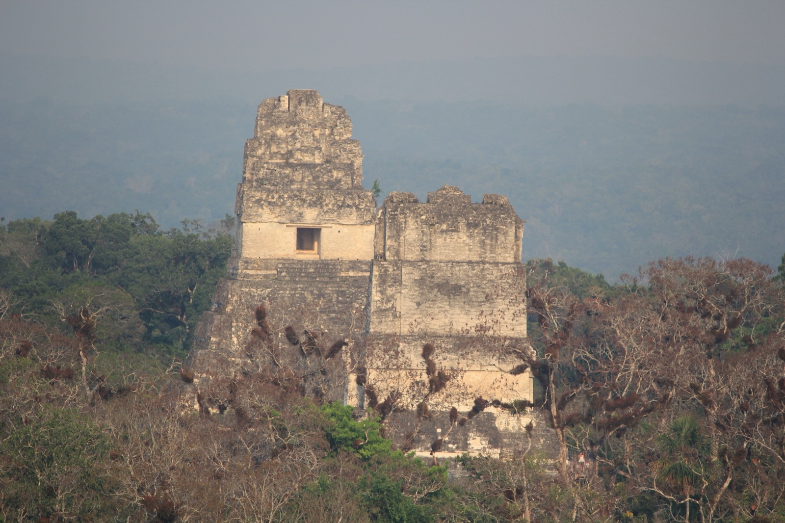 Los templos I y II de Tikal, en el norte de Guatemala, vistos desde lo alto del templo IV. Tikal fue una de las ciudades mayas más poderosas del periodo clásico.